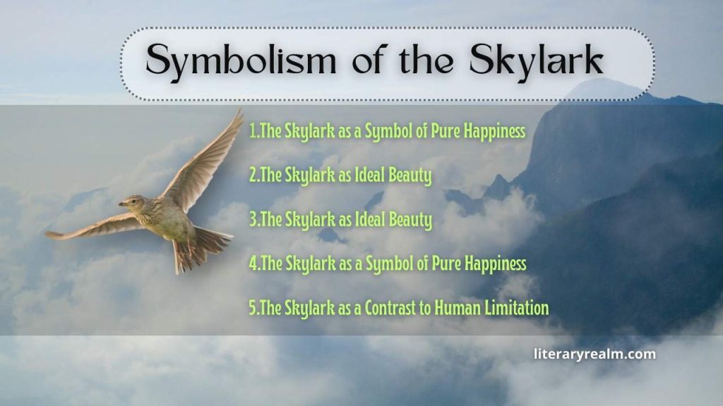 Symbolism of the Skylark in Ode to A Skylark Analysis